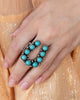 Paparazzi - Simply Santa Fe - Complete Trend Blend FF09