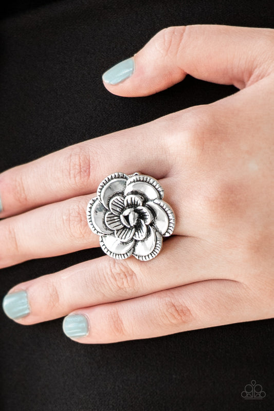 Paparazzi - FLOWERBED and Breakfast - Silver Ring #R022