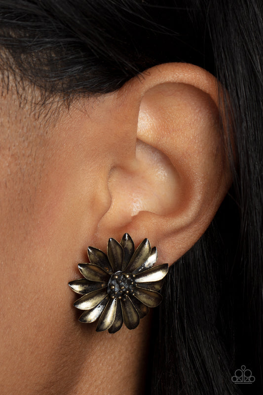 Paparazzi - Daisy Dilemma - Brass Earrings #1949